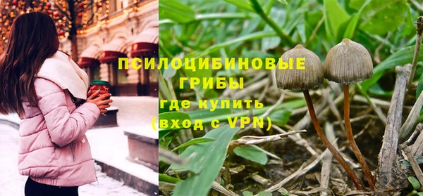 дмт Кинешма