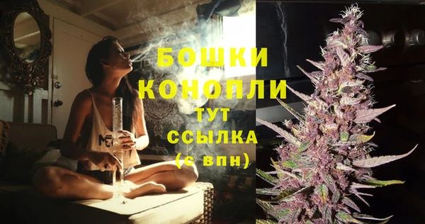 дмт Кинешма