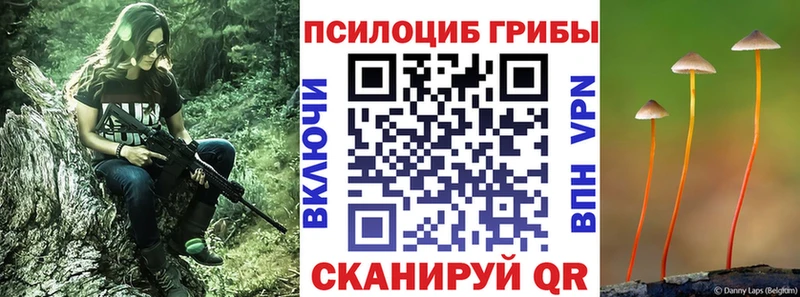 Псилоцибиновые грибы Psilocybe  Стрежевой 