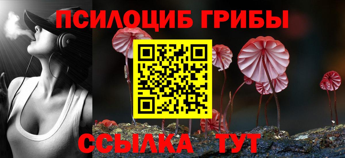 Псилоцибиновые грибы Cubensis  Галлюциногенные грибы Magic Shrooms  Стрежевой  Вход с VPN 